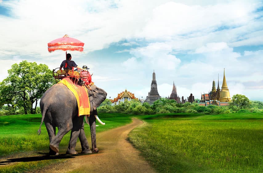 elephant trip bangkok