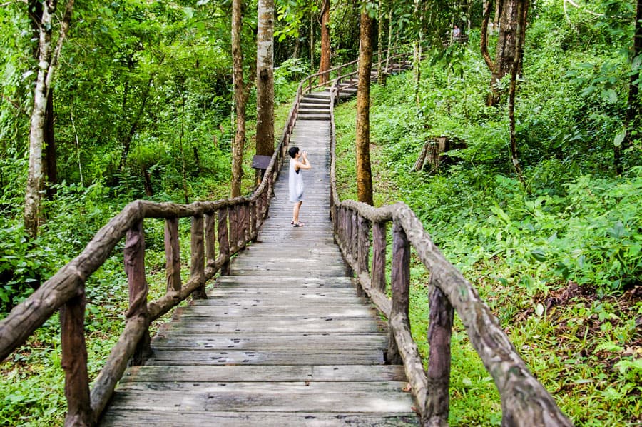 Discover the Eight Best Hiking Trails in Thailand | Vacation-Thailand ...